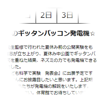 ギッタンバッコン発電機