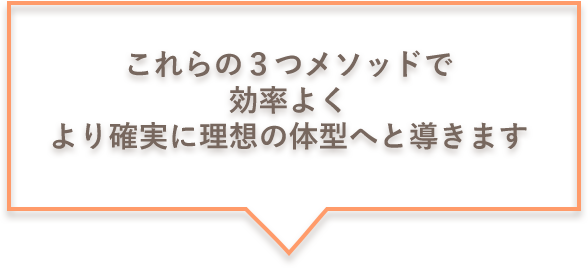 これらの3つのメソッドで効率よくより確実に理想の体型へと導きます