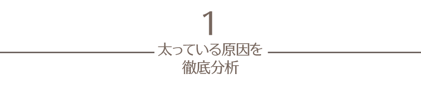 method1:太っている原因を徹底分析
