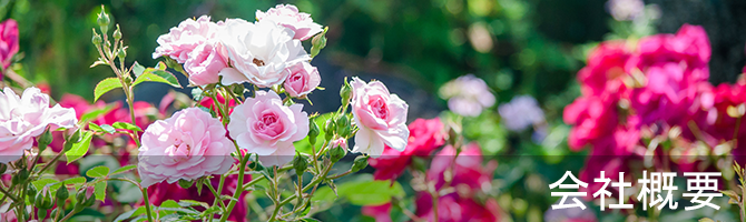 会社概要