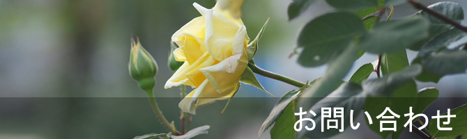 お問い合わせ