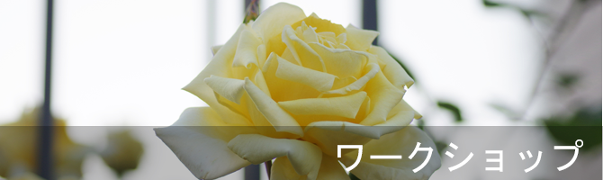 ワークショップ